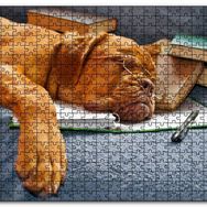 Cakapuzzle Kitap Defter Kalem ve Gözlüklü Kahverengi Buldog Mdf 255 Parça Puzzle