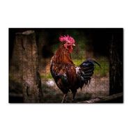 Cakapuzzle Kızıl Horoz 120 Parça Puzzle