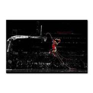 Cakapuzzle Kobe Bryandan Muhteşem Smaç 255 Parça Puzzle