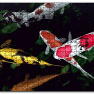Cakapuzzle Koi Balıkları Yukarıdan Görünüm Mdf 500 Parça Puzzle