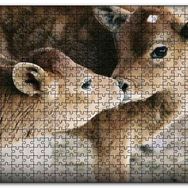 Cakapuzzle Koklaşan Kahverengi Buzağılar Görseli Mdf 120 Parça Puzzle