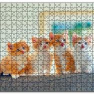 Cakapuzzle Koltukta Sarı Beyaz Yavru Kediler Mdf 120 Parça Puzzle