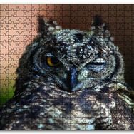 Cakapuzzle Komik Baykuş Mdf 255 Parça Puzzle