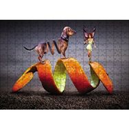 Cakapuzzle Köpek Sarmal Melek Kadın Fantastik 255 Parça Puzzle