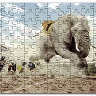 Cakapuzzle Köpek Yarışına Katılan Fil İllüstrasyon Mdf 1000 Parça Puzzle