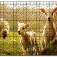 Cakapuzzle Koyun Kuzular Görseli Mdf 120 Parça Puzzle
