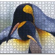 Cakapuzzle Kral Penguen Çifti Mdf 1000 Parça Puzzle