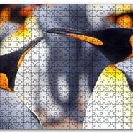Cakapuzzle Kral Penguenler Mdf 1000 Parça Puzzle