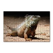 Cakapuzzle Kumlar Üzerinde Görkemli Iguana 255 Parça Puzzle