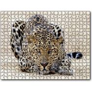 Cakapuzzle Kumların Üzerinde Pusudaki Leopar Mdf 120 Parça Puzzle