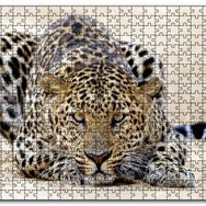 Cakapuzzle Kumların Üzerinde Pusudaki Leopar Mdf 500 Parça Puzzle