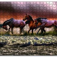 Cakapuzzle Kumsaldaki Atlar Ahşap 500 Parça Puzzle