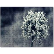 Cakapuzzle Küresel Isınma ve Çölleşme Vurgulu Dünya Haritası 500 Parça Puzzle