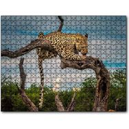 Cakapuzzle Kuru Dal Üzerinde Yalanan Leopar Görseli 255 Parça Puzzle