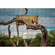 Cakapuzzle Kuru Dal Üzerinde Yalanan Leopar Görseli Mdf 120 Parça Puzzle