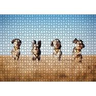 Cakapuzzle Kuru Otların Arasında Koşan 4 Sevimli Terrier Mdf 1000 Parça Puzzle