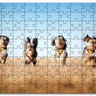 Cakapuzzle Kuru Otların Arasında Koşan 4 Sevimli Terrier Mdf 120 Parça Puzzle