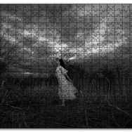 Cakapuzzle Kuru Sazlıklar İçindeki Beyazlı Kız Mdf 120 Parça Puzzle