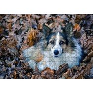 Cakapuzzle Kuru Yapraklar Arasındaki Sevimli Köpek 120 Parça Puzzle