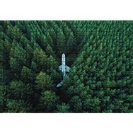Cakapuzzle Kuşbakışı Ormanın Ortasındaki Uçak Mdf 1000 Parça Puzzle