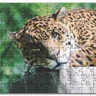 Cakapuzzle Kütüğün Üzerinde Dinlenen Leopar Yakın Çekim Mdf 1000 Parça Puzzle