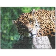 Cakapuzzle Kütüğün Üzerinde Dinlenen Leopar Yakın Çekim Mdf 255 Parça Puzzle