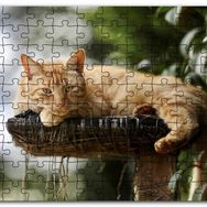 Cakapuzzle Kütüğün Üzerinde Miskinlik Eden Sarı Kedi Mdf 1000 Parça Puzzle