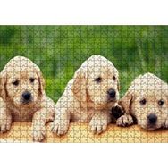 Cakapuzzle Kütüğün Üzerinde Üç Sevimli Labrador 120 Parça Ahşap Puzzle