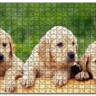 Cakapuzzle Kütüğün Üzerinde Üç Sevimli Labrador Mdf 120 Parça Puzzle