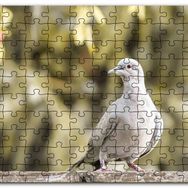Cakapuzzle Kütük Üzerinde Gri Kumru Flu Arkaplan Mdf 1000 Parça Puzzle