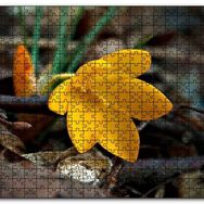 Cakapuzzle Kütükler Arasında Sarı Çiçek Mdf 500 Parça Puzzle