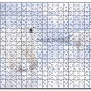 Cakapuzzle Kutup Ayıları Karlar ve Buz Kütleleri Mdf 1000 Parça Puzzle