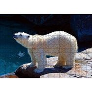 Cakapuzzle Kutup Ayısı Hayvanat Bahçesinde 255 Parça Puzzle