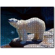 Cakapuzzle Kutup Ayısı Hayvanat Bahçesinde Mdf 1000 Parça Puzzle