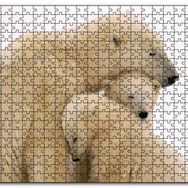 Cakapuzzle Kutup Ayısı ve Sevimli Yavruları Kar Arkaplan Mdf 120 Parça Puzzle