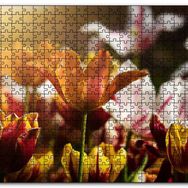 Cakapuzzle Laleler ve Güneş Işıkları Mdf 1000 Parça Puzzle
