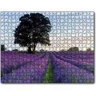 Cakapuzzle Lavanta Tarlaları ve Yalnız Ağaç Mdf 500 Parça Puzzle
