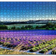 Cakapuzzle Lavanta Tarlası ve Yeşil Tepeler Mdf 1000 Parça Puzzle