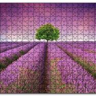Cakapuzzle Lavanta Tarlası ve Yeşil Yalnız Ağaç Mdf 120 Parça Puzzle