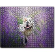 Cakapuzzle Lavantalar Arasında Bulldoglar Mdf 500 Parça Puzzle