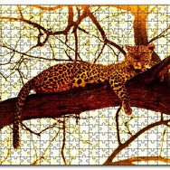 Cakapuzzle Leopar Ağaçta Dinleniyor Mdf 120 Parça Puzzle
