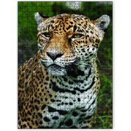 Cakapuzzle Leopar Avcı 500 Parça Puzzle
