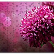 Cakapuzzle Lila Rengi Çiçek Yakın Çekim Flu Arkaplan Mdf 120 Parça Puzzle