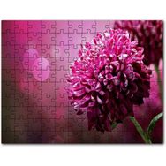 Cakapuzzle Lila Rengi Çiçek Yakın Çekim Flu Arkaplan Mdf 255 Parça Puzzle