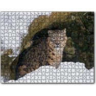 Cakapuzzle Mağara Ağzında Kar Leoparı Mdf 1000 Parça Puzzle