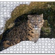 Cakapuzzle Mağara Ağzında Kar Leoparı Mdf 500 Parça Puzzle