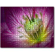 Cakapuzzle Makro Closeup Helleborus Çiçek Görseli Mdf 120 Parça Puzzle