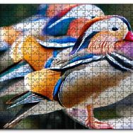Cakapuzzle Mandarin Ördekleri Mdf 500 Parça Puzzle