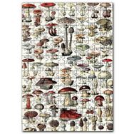 Cakapuzzle Mantar Türleri Botanik Şema Mdf 1000 Parça Puzzle