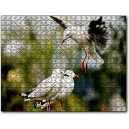 Cakapuzzle Martılar Kıyameti Kopmak Üzere Mdf 1000 Parça Puzzle